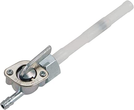 Grifo Honda
